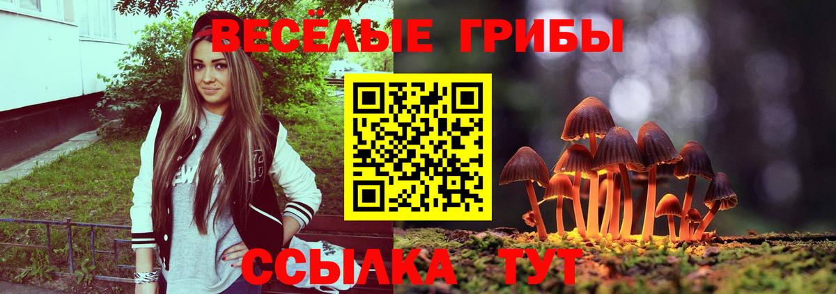 Анапа  Галлюциногенные грибы MAGIC MUSHROOMS  Вход с VPN 