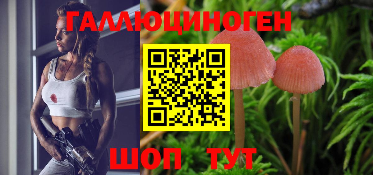 Галлюциногенные грибы мицелий Анапа